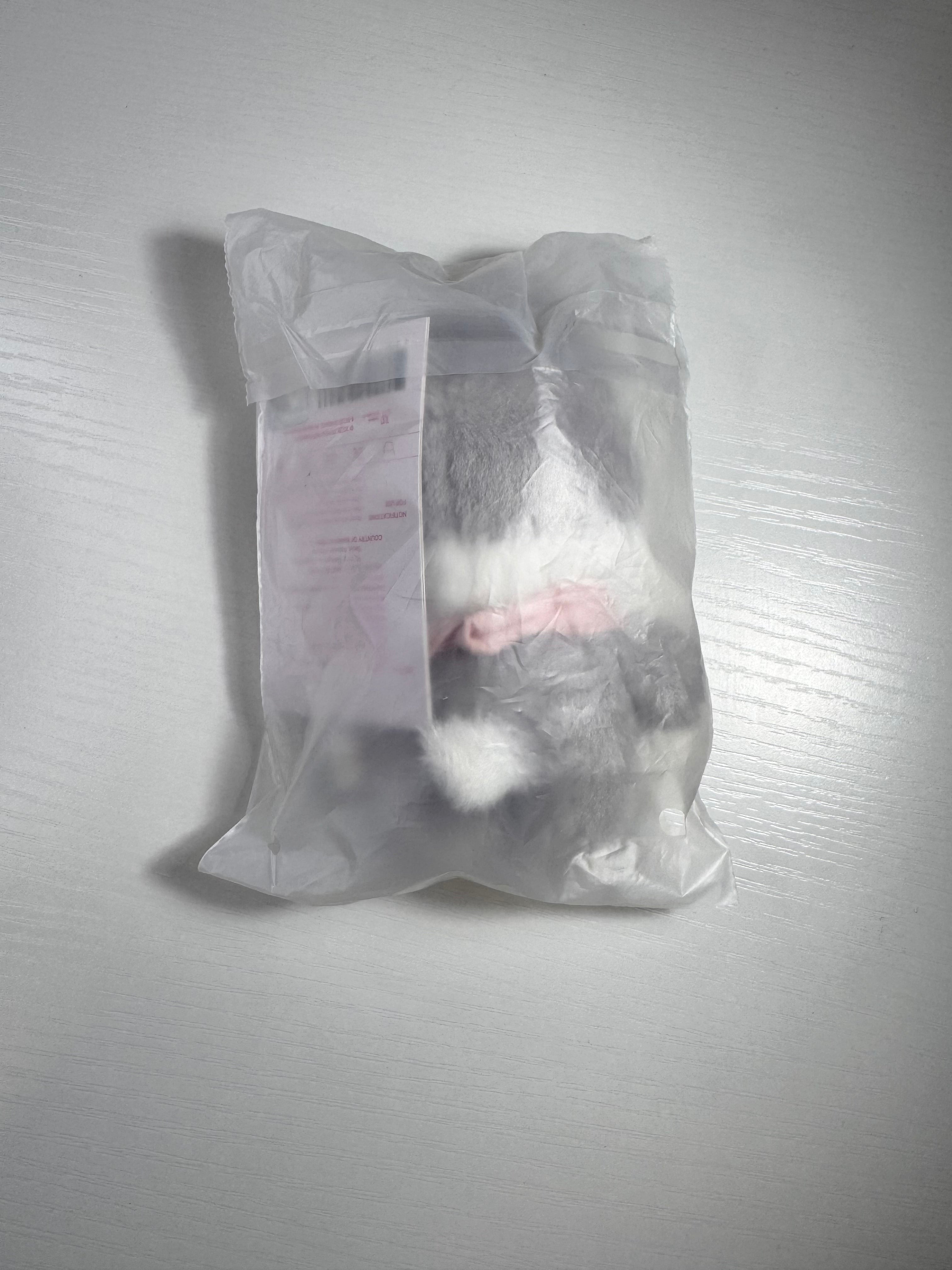 STRAY KIDS - SKZ 5'CLOCK 5TH FAN MEETING OFFICIAL MD SKZOO PLUSH WOLF CHAN 10CM VER.